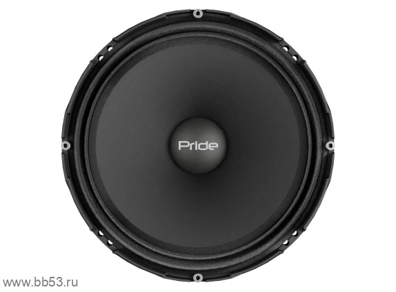 Pride Solo 300 8" Competition [8"/ном. 300 Вт/97,5 Дб/3,11 Ом/2шт]