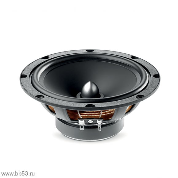Focal Auditor ASE-165 [16.5см/2х комп./60Вт ном./120Вт макс./91.5Дб/60 - 21000 Гц]