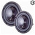 Phoenix Gold R310D4 [10"/400 Вт  ном./800 Вт макс/90 дБ /4 Ом + 4 Ом /штампованная корзина]