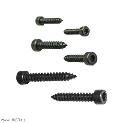 Audio Nova Hexagonal screws 4*20mm [саморез из нержавеющей стали для динамика 1шт]