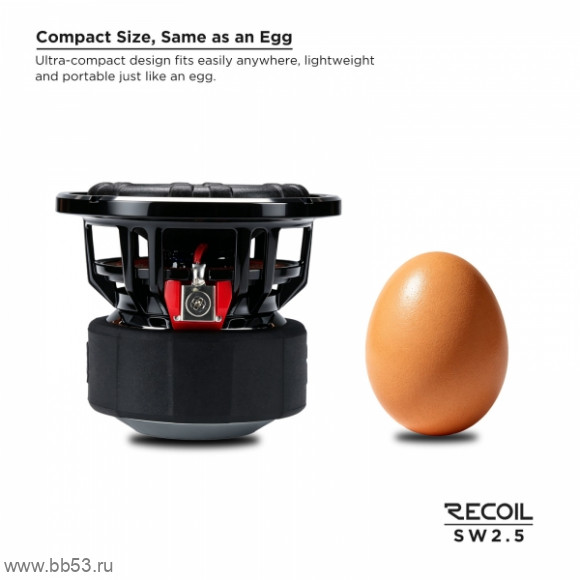 Recoil SW2.5 mini Сабвуфер [2.5" 5см/20 Вт ном./74 Дб/4 Ом/1шт]
